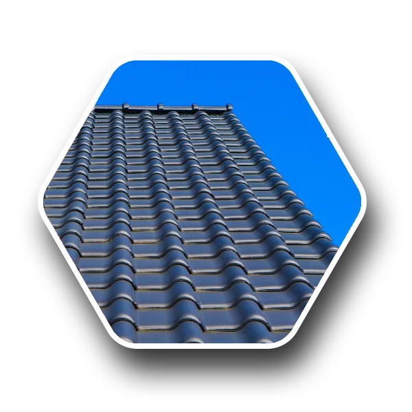 Toiture Tuiles Noires